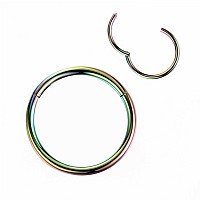 Lovebodyjewelry 2Pcs 20G 10Mm Hinged Hoop Nose Ring Rainbow Septum Ring Clicker 316L Surgical Steel Hoop 20 Gauge Cartilage Earr