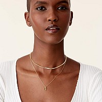 Pavoi 14K Gold Plated Layered Necklace With Dog Tag Pendant Layering Necklaces For Women With Herringbonesnake Chain Trendy