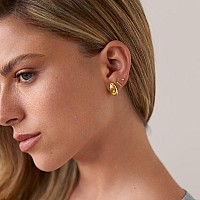 Pavoi 14K Dome Hoop Huggies Dome Yellow Gold