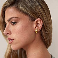 Pavoi 14K Dome Hoop Huggies Dome Yellow Gold