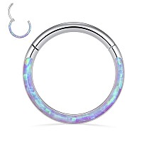 14G Septum Jewelry Purple Opal Septum Rings Silver Daith Earrings Surgical Steel Conch Hoop Earrings Seamless Nose Ring Hoops Se