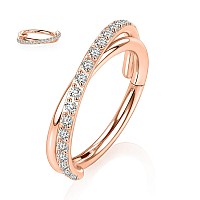 Yrogcu 316L Stainlesssteel Seamless Doublering Hinged Noseringshoop With Rose Gold Color Cz Ring 18G 10Mm Lip Ring Ear Cart