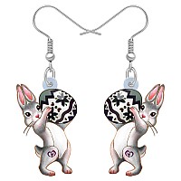 Bonsny Acrylic Drop Dangle Easter Basket Bunny Hare Rabbit Earrings Jewelry For Women Gift Charms Soot