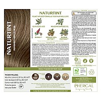 Naturtint Permanent Hair Color 7N Hazelnut Blonde Pack Of 1 Ammonia Free Vegan Cruelty Free Up To 100 Gray Coverage Long