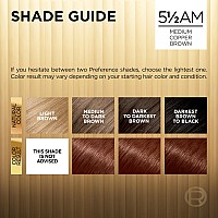 Loreal Paris Superior Preference Fadedefying Shine Permanent Hair Color 55Am Medium Copper Brown Pack Of 1 Hair Dye