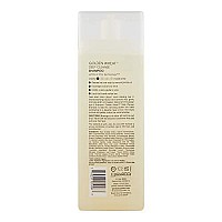 GIOVANNI Golden Wheat Deep Cleanse Shampoo, 8.5 oz. Enriched with Botanical Oils, Removes Excess Oils from Normal to Oily Hair, Sulfate Free, No Parabens (Pack of 1)