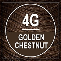 Naturtint Permanent Hair Color 4G Golden Chestnut Pack Of 1 Ammonia Free Vegan Cruelty Free Up To 100 Gray Coverage Long