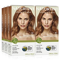 Naturtint Permanent Hair Color 7C Terracotta Blonde Pack Of 6 Ammonia Free Vegan Cruelty Free Up To 100 Gray Coverage Lo