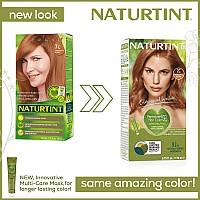 Naturtint Permanent Hair Color 7C Terracotta Blonde Pack Of 6 Ammonia Free Vegan Cruelty Free Up To 100 Gray Coverage Lo