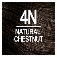 Naturtint Permanent Hair Color 4N Natural Chestnut (Pack of 6), Ammonia Free, Vegan, Cruelty Free, up to 100% Gray Coverage, Long Lasting Results