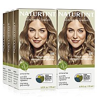 Naturtint Permanent Hair Color 8N Wheat Germ Blonde Pack Of 6 Ammonia Free Vegan Cruelty Free Up To 100 Gray Coverage Lo