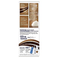 Clairol Nicen Easy Liquid Permanent Hair Dye 5 Medium Brown Hair Color Pack Of 3