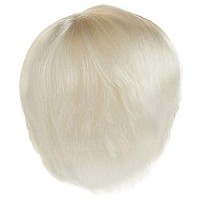 Costume Culture Men's Artist Wig, Platinum, One Size