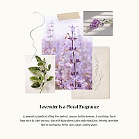 Thymes - Lavender Hand Wash with Pump - Hydrating Liquid Hand Soap with Calming Lavender Scent - 8.25 oz