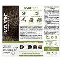 Naturtint Permanent Hair Color 6N Dark Blonde Pack Of 1 Ammonia Free Vegan Cruelty Free Up To 100 Gray Coverage Long Las