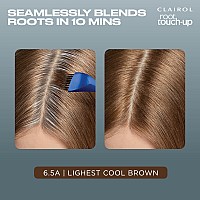 Clairol Root Touchup By Nicen Easy Permanent Hair Dye 65A Lightest Cool Brown Hair Color Pack Of 1