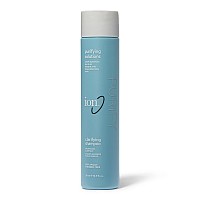 Ion Clarifying Shampoo, Removes Build-Up and Residue, Vegan, Safe for Chemically-Treated Hair