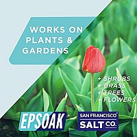 Epsoak USP Epsom Salt - 10 lb Bulk Bag