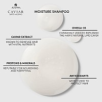 Alterna CAVIAR Anti Aging Moisture Shampoo, 8.5 Fl Oz