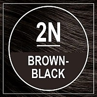 Naturtint Permanent Hair Color Black Brown 545 Fl Oz