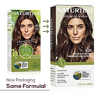 Naturtint Permanent Hair Color 5Gm Chocolate Chestnut Pack Of 1 Ammonia Free Vegan Cruelty Free Up To 100 Gray Coverage