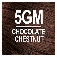 Naturtint Permanent Hair Color 5Gm Chocolate Chestnut Pack Of 1 Ammonia Free Vegan Cruelty Free Up To 100 Gray Coverage