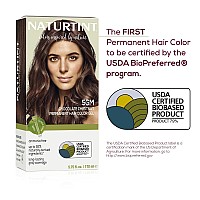 Naturtint Permanent Hair Color 5Gm Chocolate Chestnut Pack Of 1 Ammonia Free Vegan Cruelty Free Up To 100 Gray Coverage