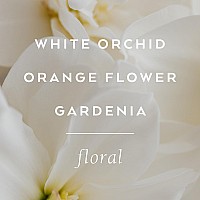 Tokyomilk Song In D Minor Handcreme 23 Oz White Orchid Orange Flower Gardenia Amber A Complex Melody Shea Butter C