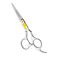 Equinox Professional Hair Scissors - Hair Cutting Scissors Professional - 6.5? Overall Length - Razor Edge Barber Scissors for Men and Women - Premium Shears For Salon