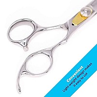 Equinox Professional Hair Scissors - Hair Cutting Scissors Professional - 6.5? Overall Length - Razor Edge Barber Scissors for Men and Women - Premium Shears For Salon