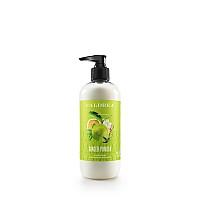 Caldrea Hand Lotion For Dry Hands Made With Shea Butter Aloe Vera And Glycerin And Other Thoughtfully Chosen Ingredients Gi