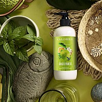 Caldrea Hand Lotion For Dry Hands Made With Shea Butter Aloe Vera And Glycerin And Other Thoughtfully Chosen Ingredients Gi