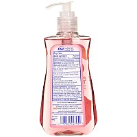 Dial Pomegranate Tangerine Antibacterial Hand Soap With Moisturizer 75 Oz Pack Of 4