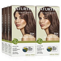 Naturtint Permanent Hair Color 6Gm Chocolate Brown Pack Of 6 Ammonia Free Vegan Cruelty Free Up To 100 Gray Coverage Lon