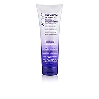 GIOVANNI, 2chic for Dry Damaged Color Treated Hair, 2Chich Repairing Shampoo with Blackberry & Coconut Milk, 8.5 Fl Oz