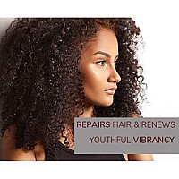 GIOVANNI, 2chic for Dry Damaged Color Treated Hair, 2Chich Repairing Shampoo with Blackberry & Coconut Milk, 8.5 Fl Oz