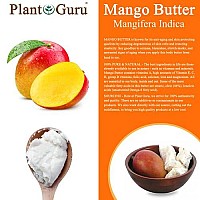 Raw Mango Butter 8 oz Jar cHUNKS - 100% Pure Natural Unrefined - great for Skin and Hair growth DIY Soap Making, Body Butter, Lotions and creams