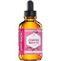 Leven Rose Coffee Bean Oil 100 Natural Coffee Oil For Skin Cold Pressed Coffee Oil For Hair Growth Unrefined Coffee Arabi