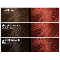 Softsheencarson Dark And Lovely Fade Resist Rich Conditioning Hair Color Permanent Hair Color Up To 100 Percent Gray Coverage