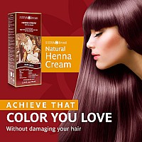 Surya Brasil Products Henna Cream, Burgundy, 2.37 Fluid Ounce