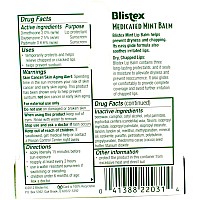 Blistex Lip Balm Spf 15 Mint 015 Ounce Pack Of 5