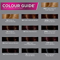 John Frieda Precision Foam Colour Brilliant Brunette (Light Natural Brown) 6N 1 Each (Pack of 3)