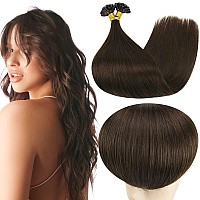 Full Shine U Tip Hair Extensions Human Hair 16 Inch Fusion Hair Extension U Tips Human Hair Color 2 Darkest Brown Remy Hair Exte