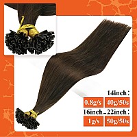 Full Shine U Tip Hair Extensions Human Hair 16 Inch Fusion Hair Extension U Tips Human Hair Color 2 Darkest Brown Remy Hair Exte