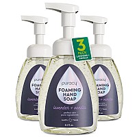 Puracy Natural Foaming Hand Soap Antibacterial Moisturizing Hand Wash Lavender Vanilla 251Ml 85 Ounce Pack Of 3