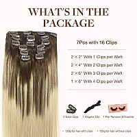 Goo Goo Clip In Hair Extensions Real Human Hair Remy Human Hair Extensions Clip Ins For Women Natural Human Hair 20Inch 120G