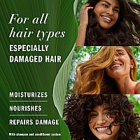 Herbal Essences Argan Oil Of Morocco Conditioner For Color Treated Hair Treatment For Damaged Hair Biorenew 135 Fl Oz Pack