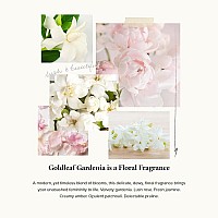 Thymes Goldleaf Gardenia Perfumed Body Crme Moisturizing Body Cream Shea Butter Body Lotion With Aloe Vera Honey For Skin