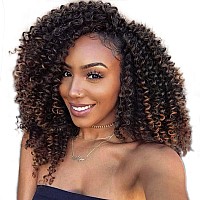 Lady Miranda Brown Color Afro Kinky Curly Braiding Hair Extensions Jerry Curl Crochet Hair 3X Braid Hair Mixed Dark Brown To Lig