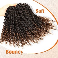 Lady Miranda Brown Color Afro Kinky Curly Braiding Hair Extensions Jerry Curl Crochet Hair 3X Braid Hair Mixed Dark Brown To Lig